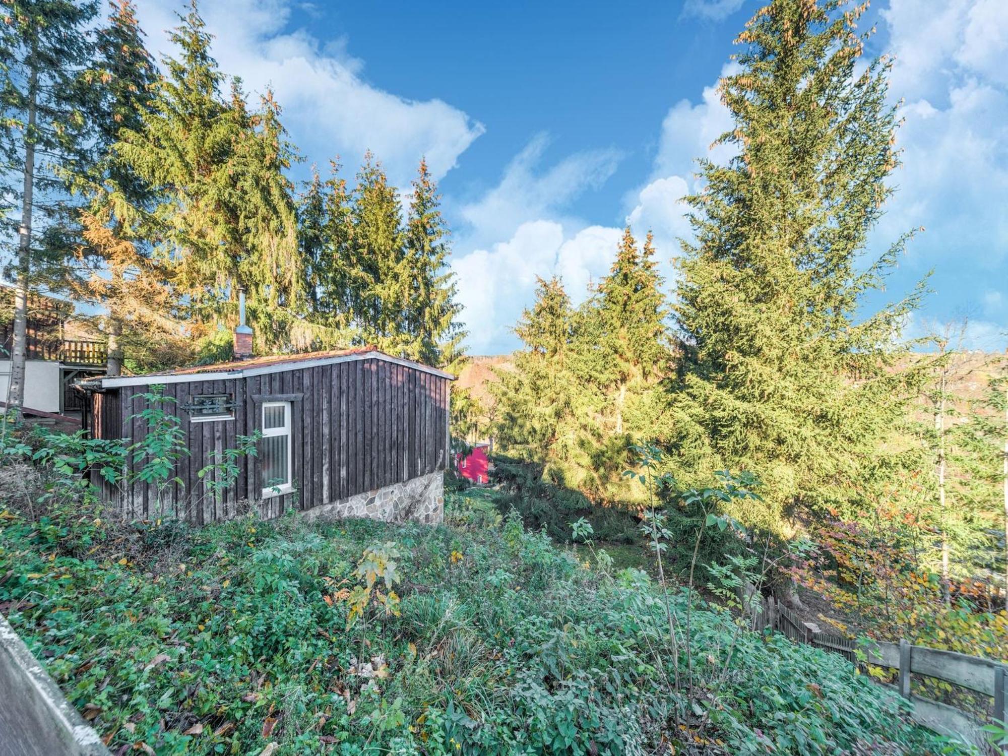 Comely Holiday Home In G Ntersberge Near Forest Güntersberge Exteriér fotografie