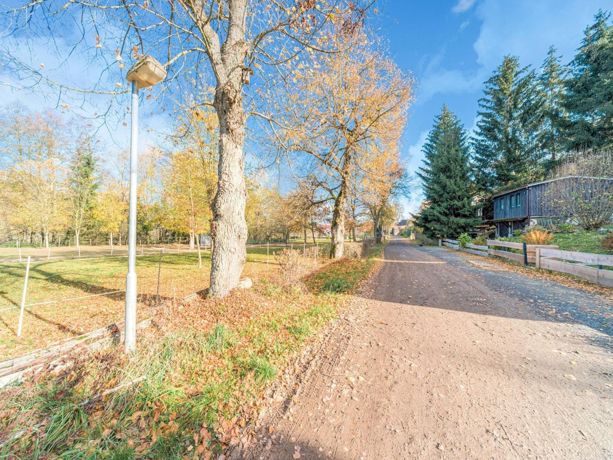 Comely Holiday Home In G Ntersberge Near Forest Güntersberge Exteriér fotografie